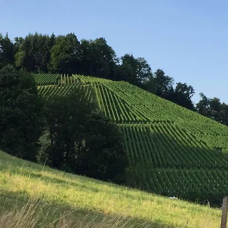 Appartamento Hoehner