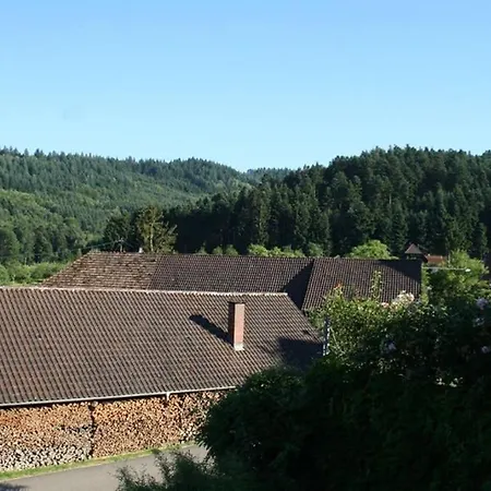 Appartamento Hoehner Gengenbach