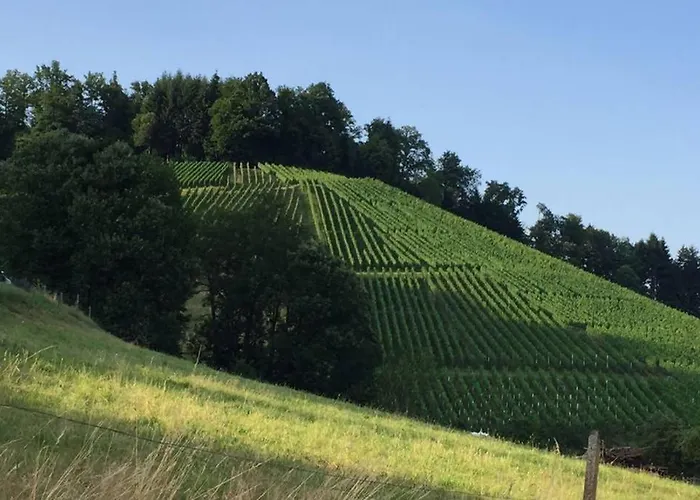 Διαμέρισμα Hoehner