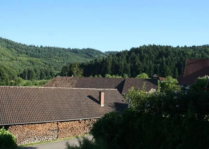 Apartmán Hoehner Gengenbach